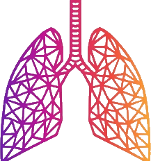 PEEP Solutions lung logo